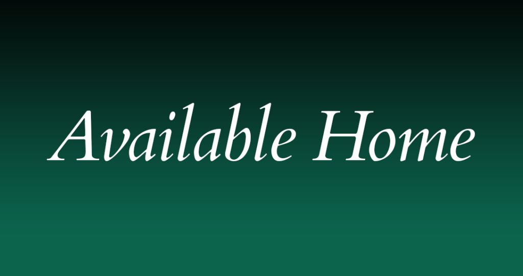 The image features the phrase "available home" in elegant, white script font centered on a dark green background.