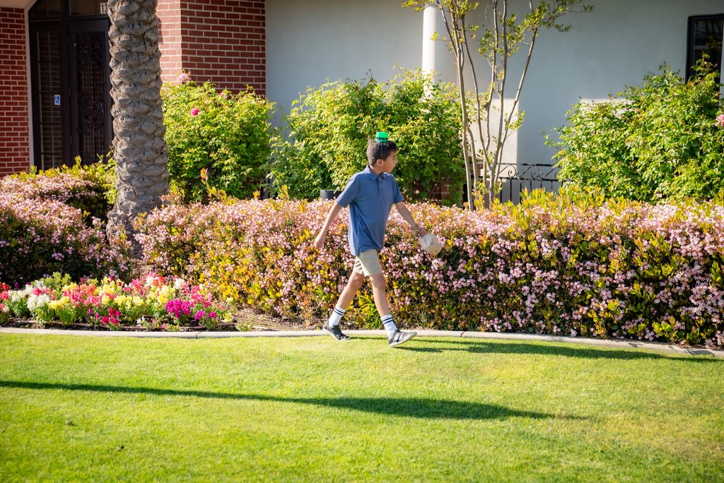 A boy wearing a blue shirt and shorts walks on a grassy lawn beside blooming bushes and flowers, with a building and palm tree in the background on a sunny day.
