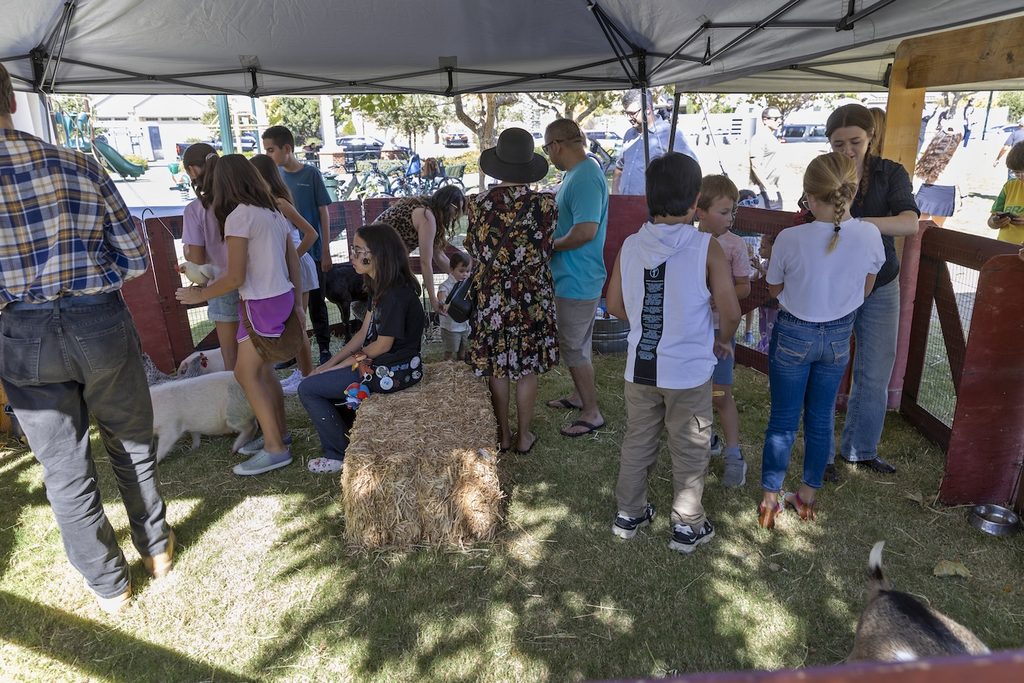 Children and adults interact with goats inside a fenced petting zoo area under a pop-up canopy.