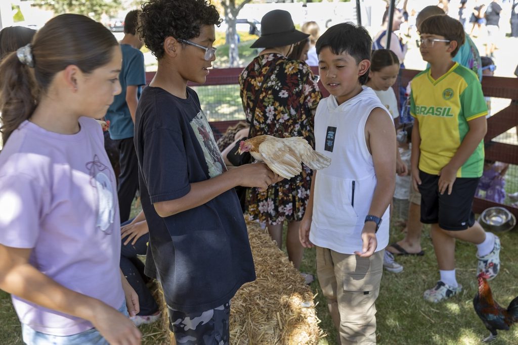 A boy holding a chicken, surrounded by a group of children at an outdoor animal enclosure.