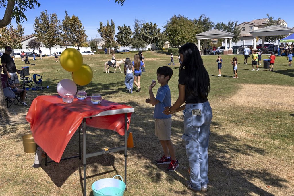 A boy and a woman stand by a table with three fishbowls, preparing to toss ping pong balls into them at an outdoor park event.