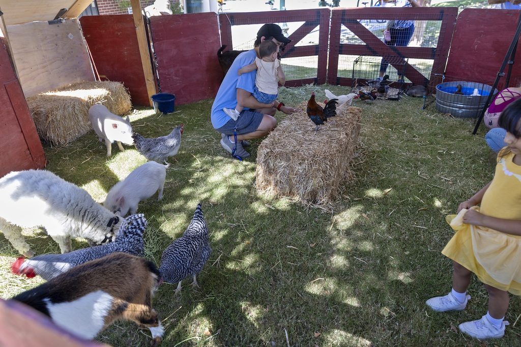 A person holding a child crouches in a petting zoo among chickens, a piglet, and a goat, as a young girl in a yellow dress watches nearby.